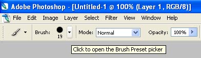 brush_preset.jpg