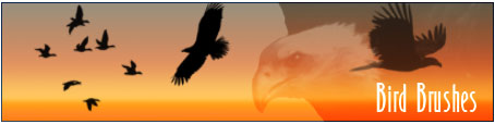 bird_photoshop_brushes1