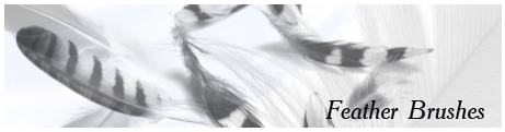 feather_photoshop_brushes