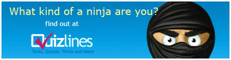 ninjabanner2
